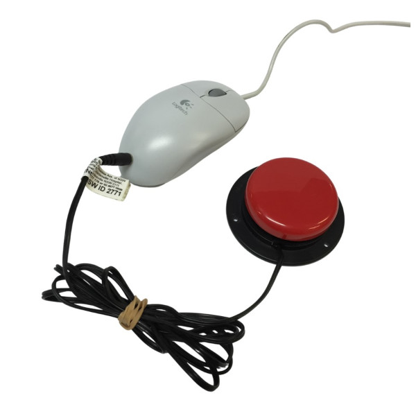 Switch adapted computer mouse